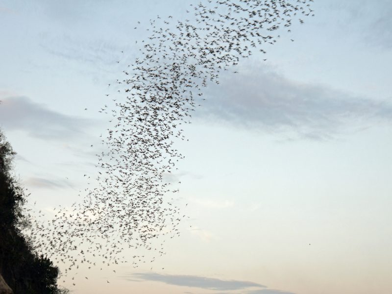 Battambang, Cambodia