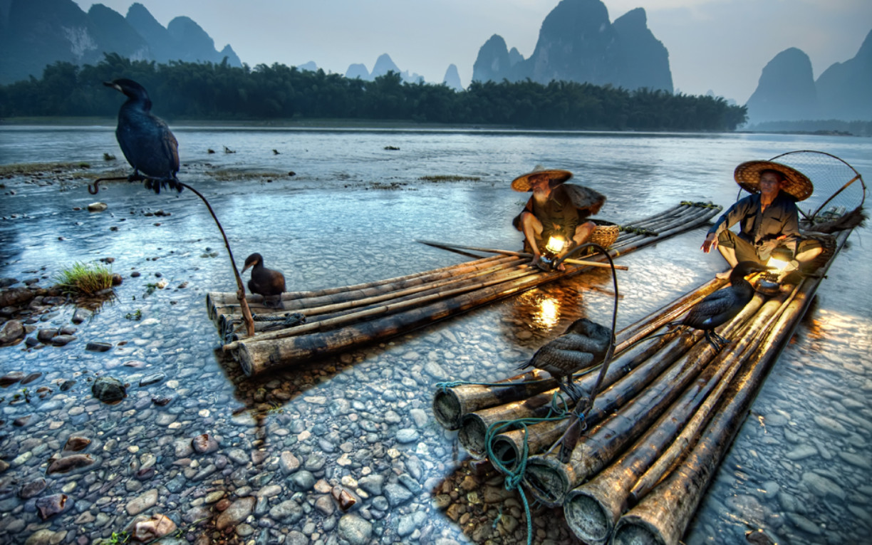 cormarant fishermen Guilin Yangshuo china
