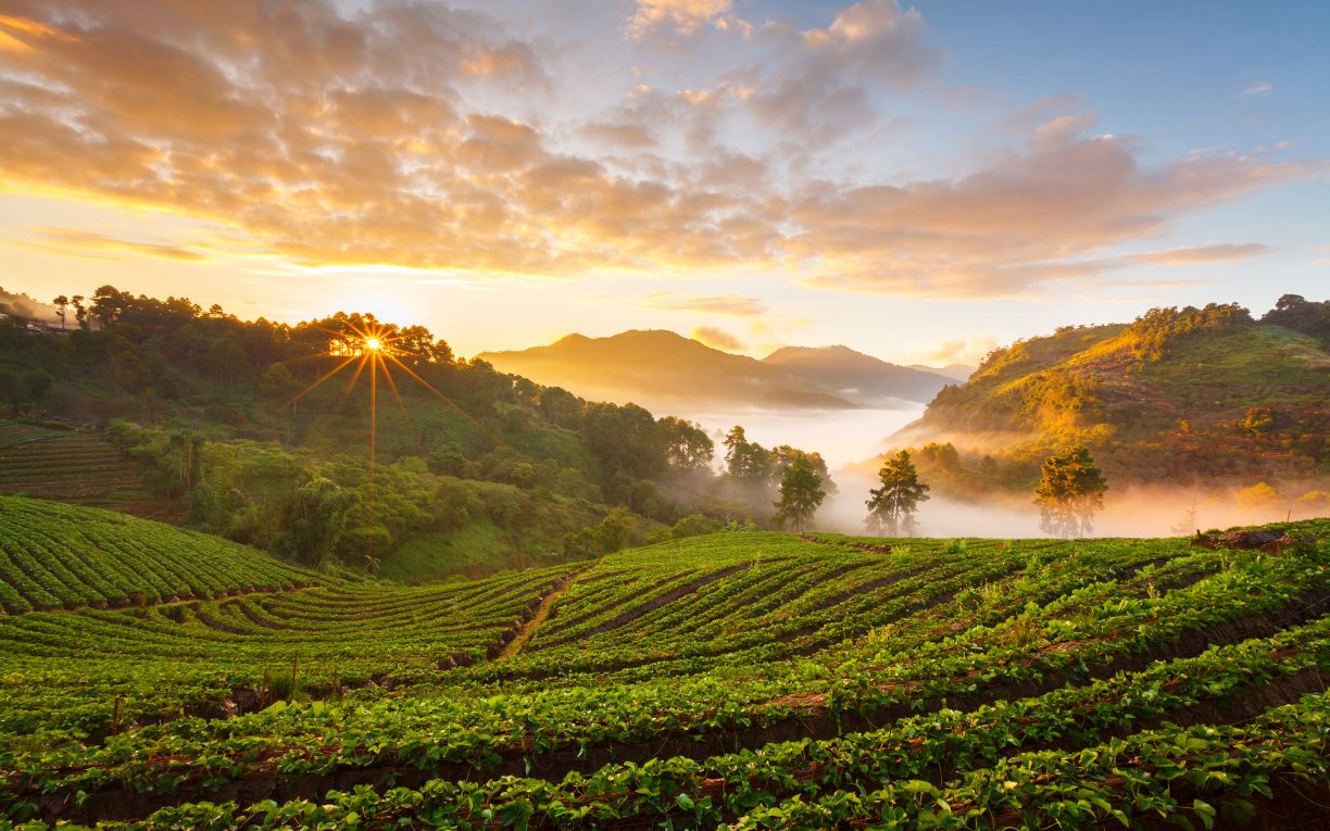 Doi Angkhang Chiang mai thailand
