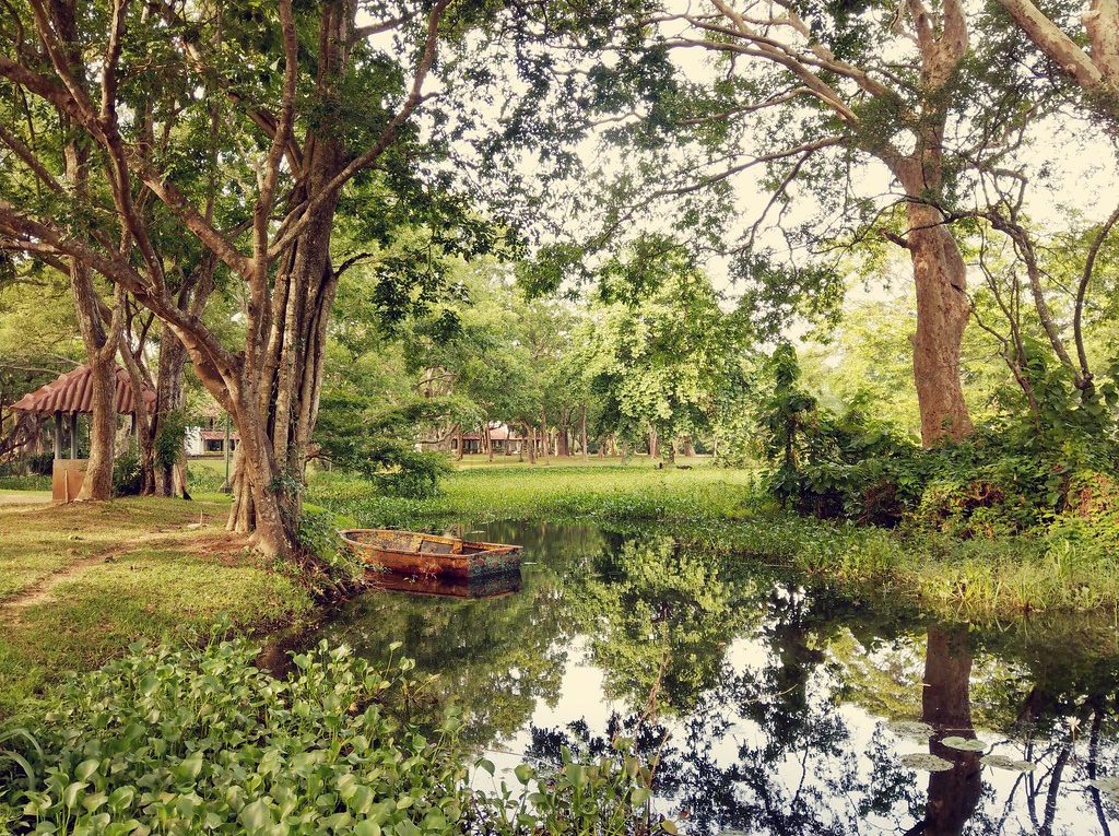 gardens village habarana sri lanka