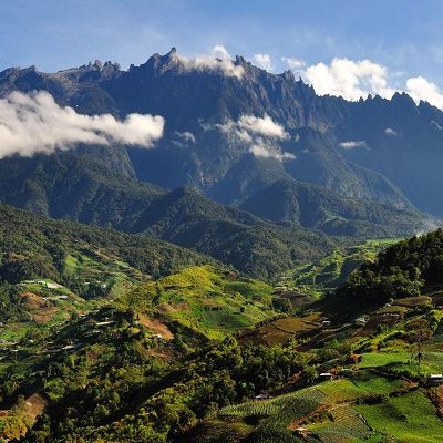 Kinabalu Park Borneo Malaysia