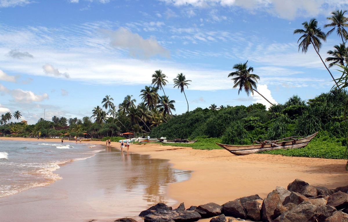 palm trees bentota beach sri lanka