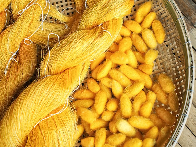 Kampong Thom, Cambodia