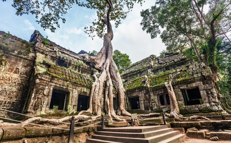 Ta Prohm Siem Reap cambodia